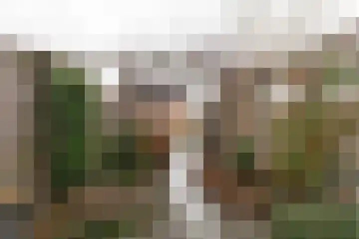 Arsenaal 50 Culemborg thumbnail 15