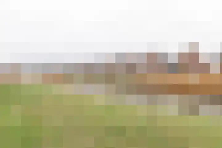 Arsenaal 50 Culemborg thumbnail 27