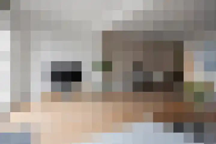 Arsenaal 51 Vijfhuizen thumbnail 10