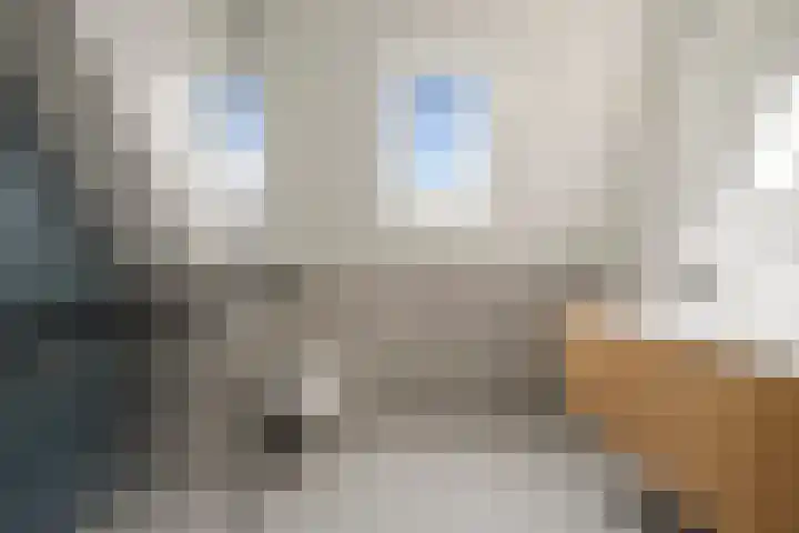 Arsenaal 51 Vijfhuizen thumbnail 30