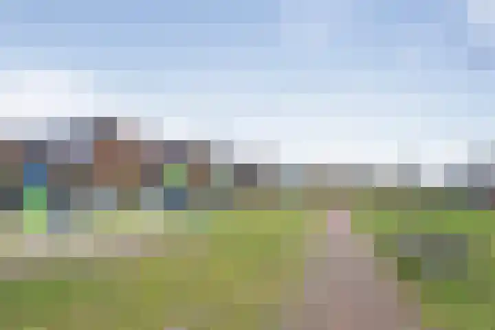 Arsenaal 51 Vijfhuizen thumbnail 44