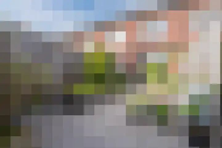 Arsenaal 52 Culemborg thumbnail 23