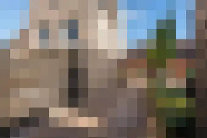 Arsenaal 62 Culemborg thumbnail 11