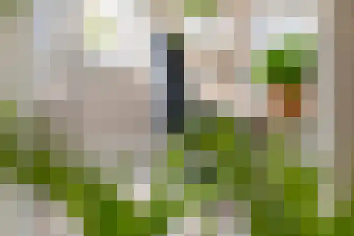 Arsenaal 62 Culemborg thumbnail 51