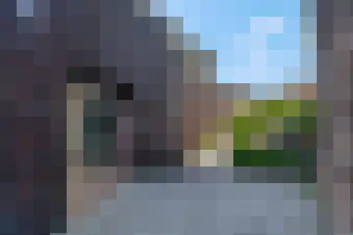 Arsenaalplaats 33 Nijmegen thumbnail 25