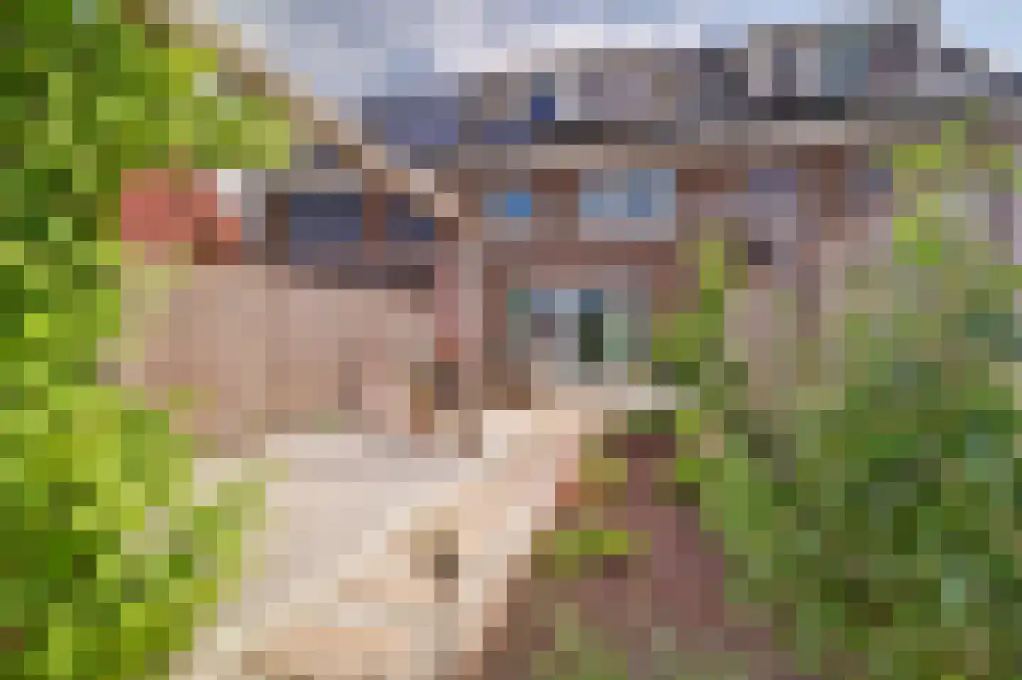 Arsenaalstraat 15 Hoef en Haag thumbnail 4