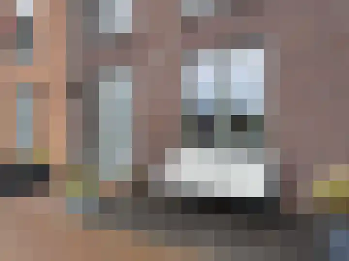 Arsenaalstraat 3 Hoef en Haag thumbnail 4