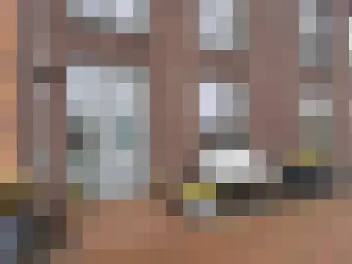 Arsenaalstraat 3 Hoef en Haag thumbnail 69