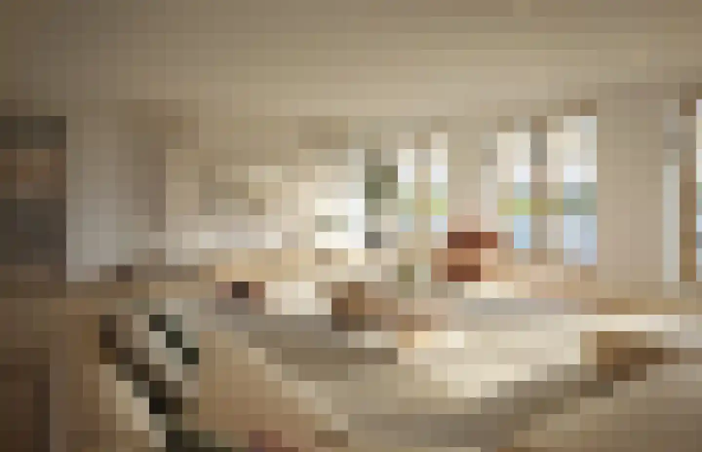 Artemis 37 in Wormerveer