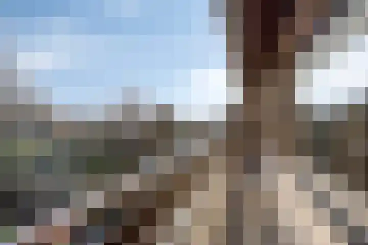 Artemislaan 22 Bergen op Zoom thumbnail 32