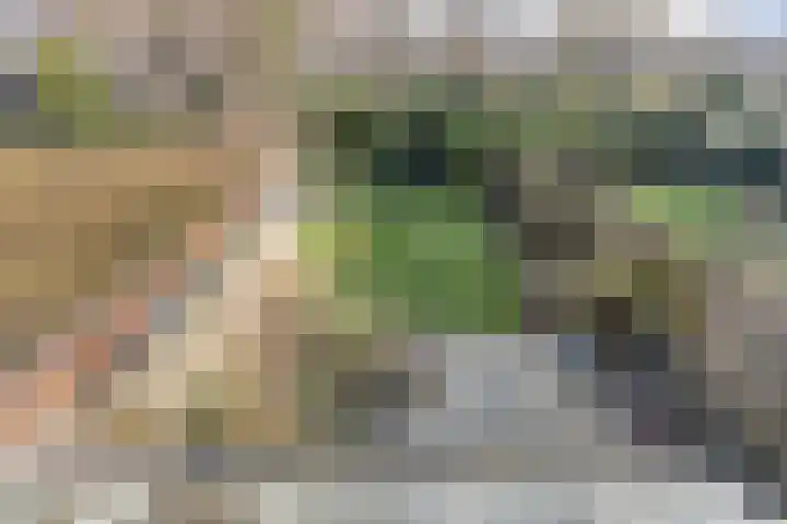 Artemislaan 22 Bergen op Zoom thumbnail 33