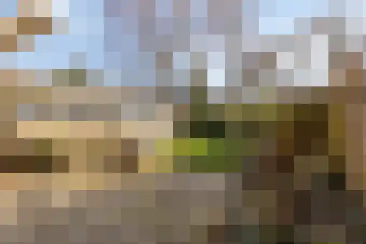 Artemislaan 22 Bergen op Zoom thumbnail 48
