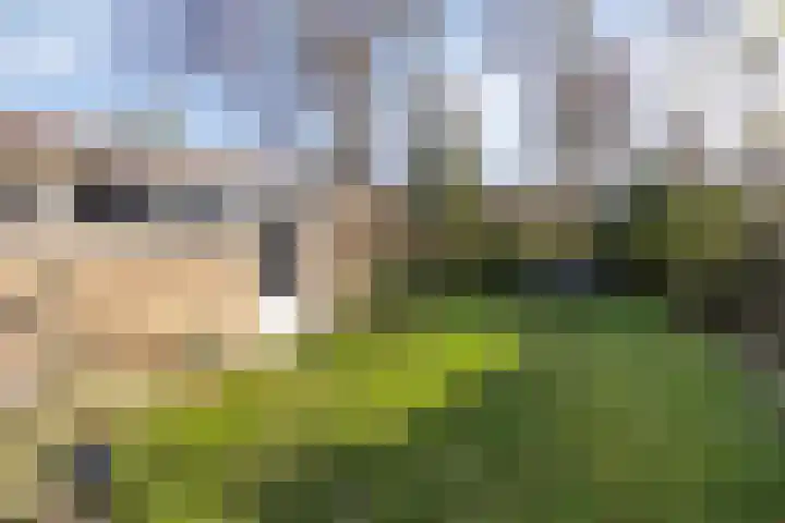 Artemislaan 22 Bergen op Zoom thumbnail 50