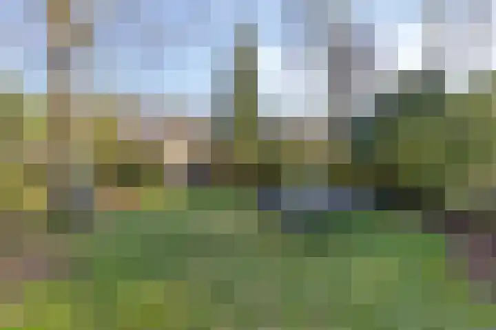 Artemislaan 22 Bergen op Zoom thumbnail 51