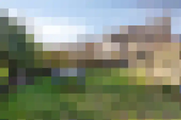 Artemislaan 22 Bergen op Zoom thumbnail 52