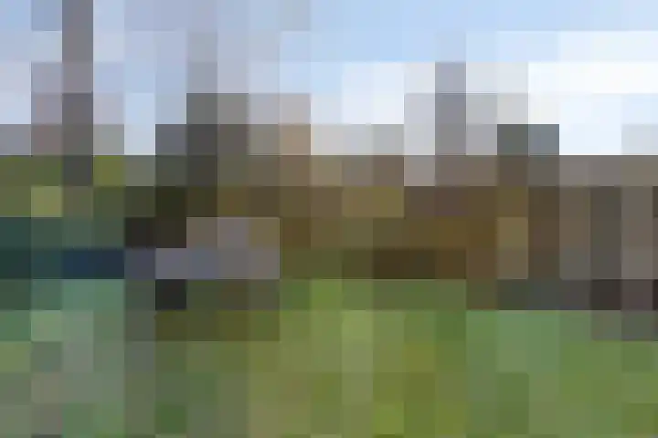 Artemislaan 22 Bergen op Zoom thumbnail 53