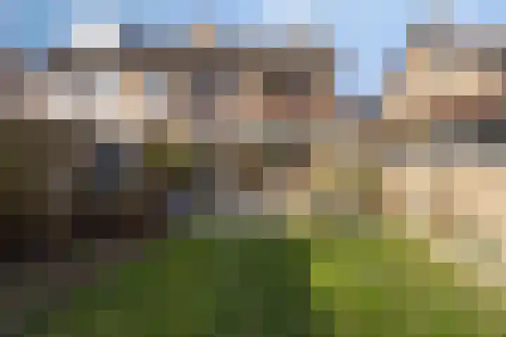 Artemislaan 22 Bergen op Zoom thumbnail 54