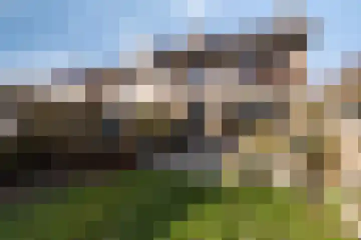 Artemislaan 22 Bergen op Zoom thumbnail 55