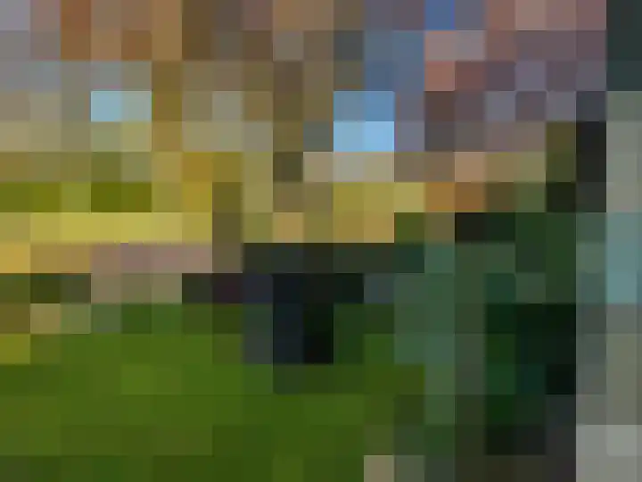 Artemislaan 22 Bergen op Zoom thumbnail 59