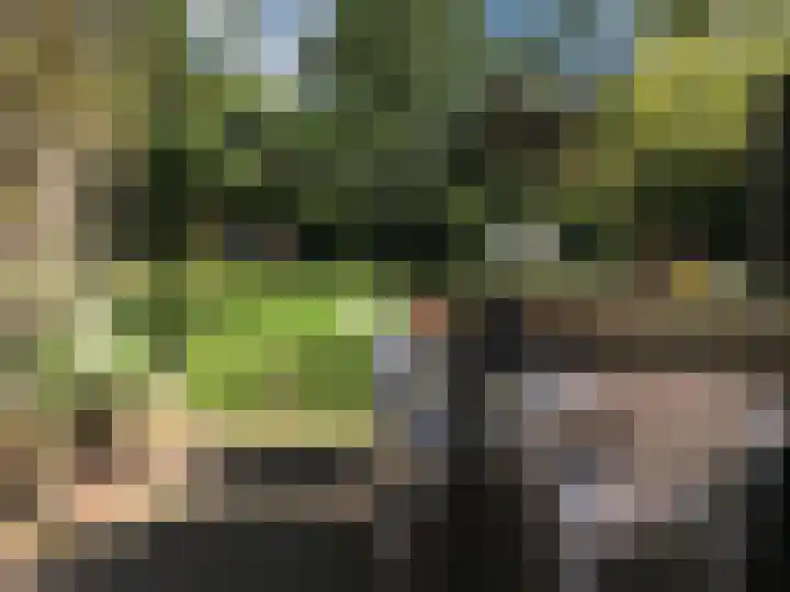 Artemislaan 22 Bergen op Zoom thumbnail 64