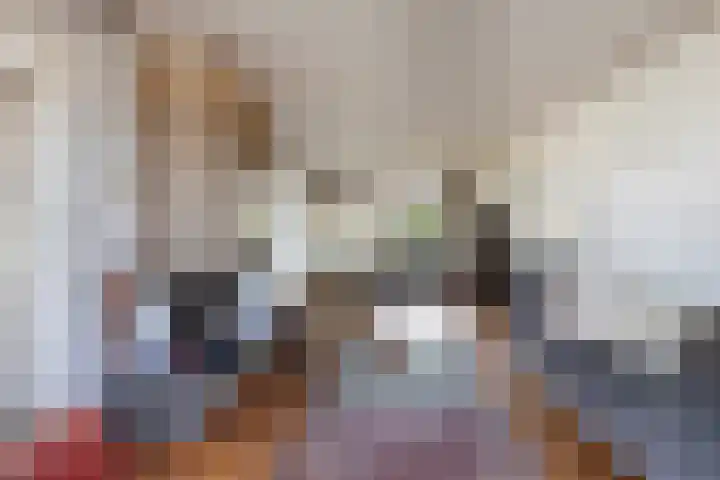 Artemislaan 22 Bergen op Zoom thumbnail 8