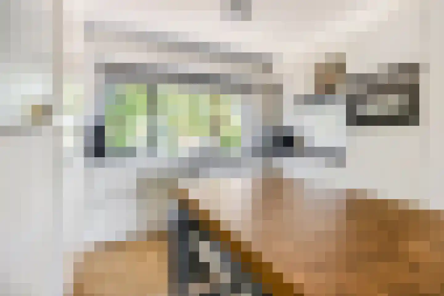 Artemislaan 3 Ede thumbnail 19