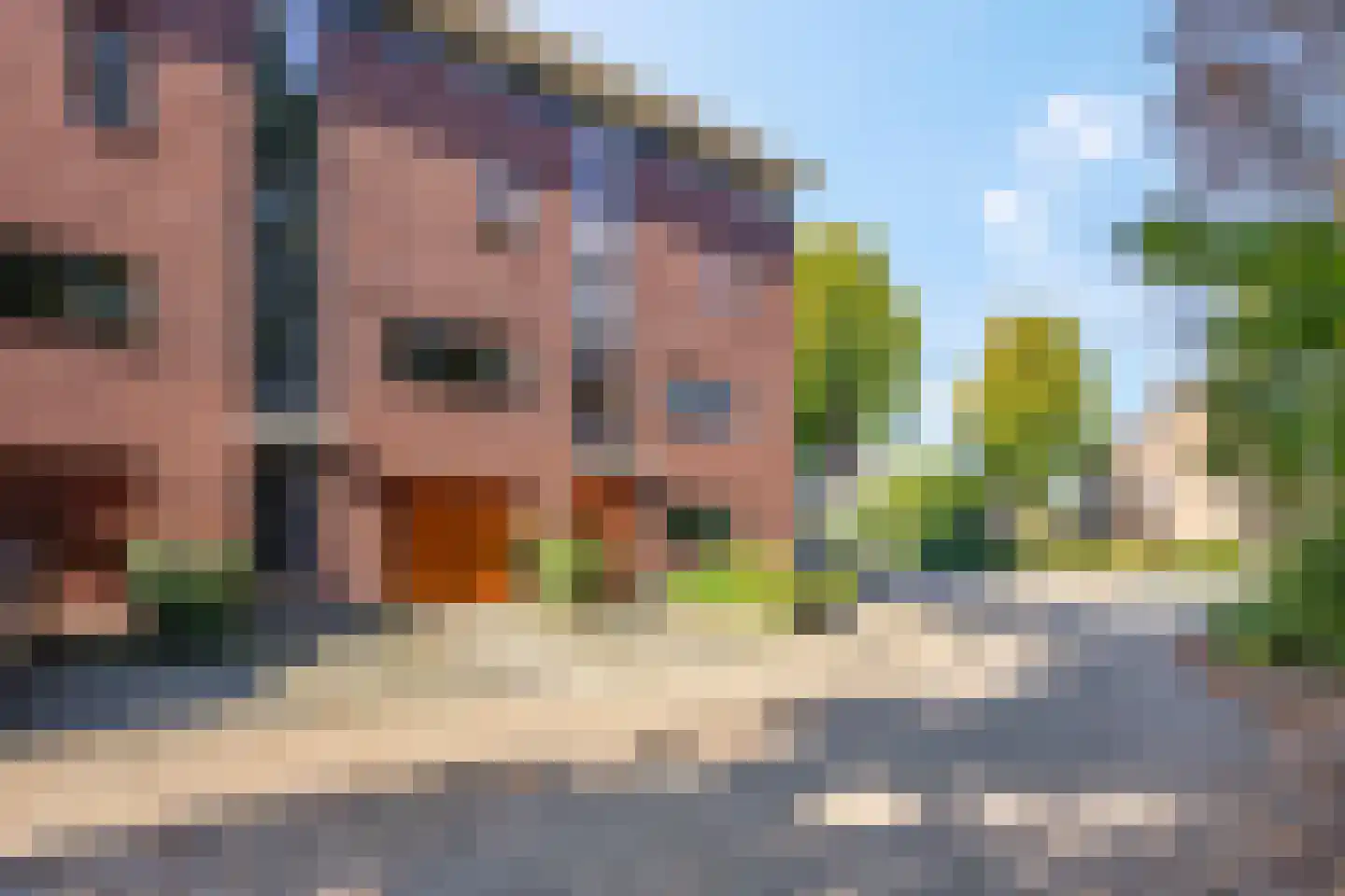 Artemislaan 3 Ede thumbnail 45