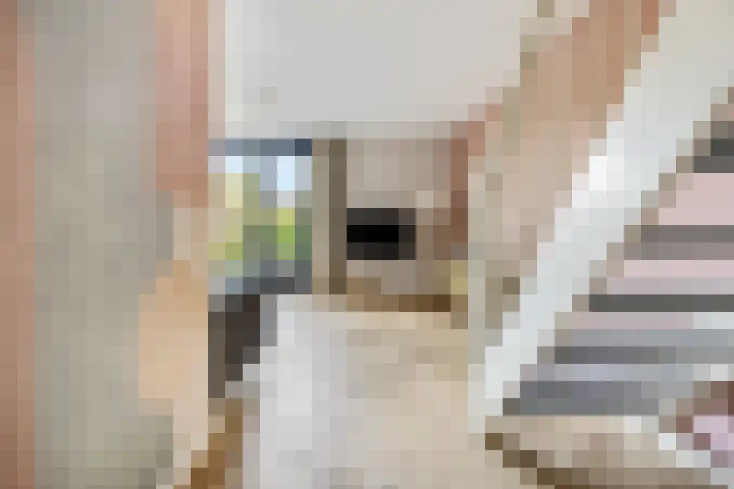 Artemislaan 3 Ede thumbnail 7