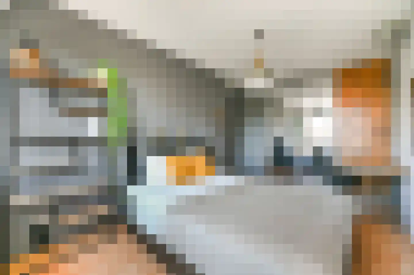 Artemisschelphof 4 Den Haag thumbnail 14