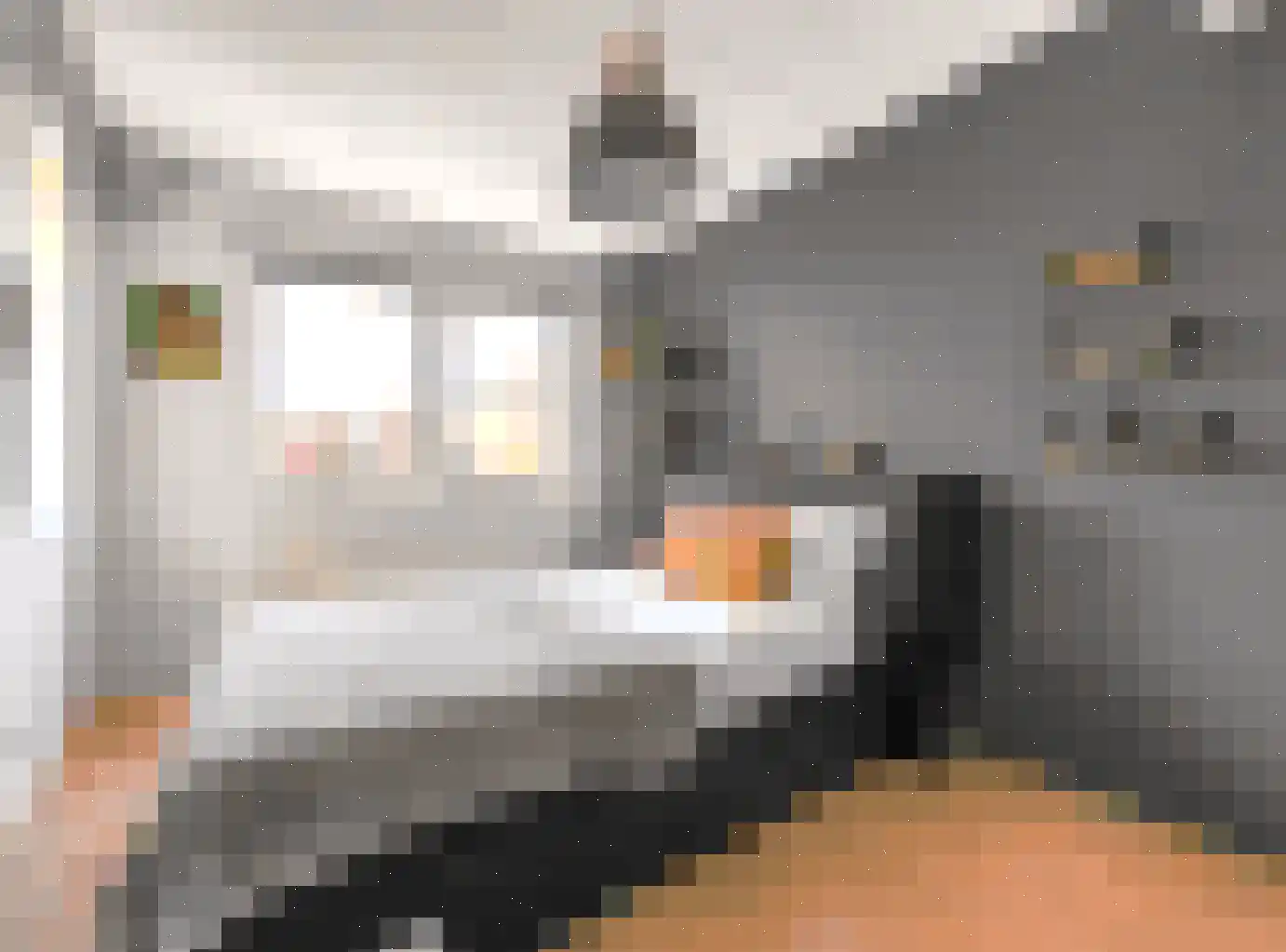 Artemisschelphof 4 Den Haag thumbnail 15