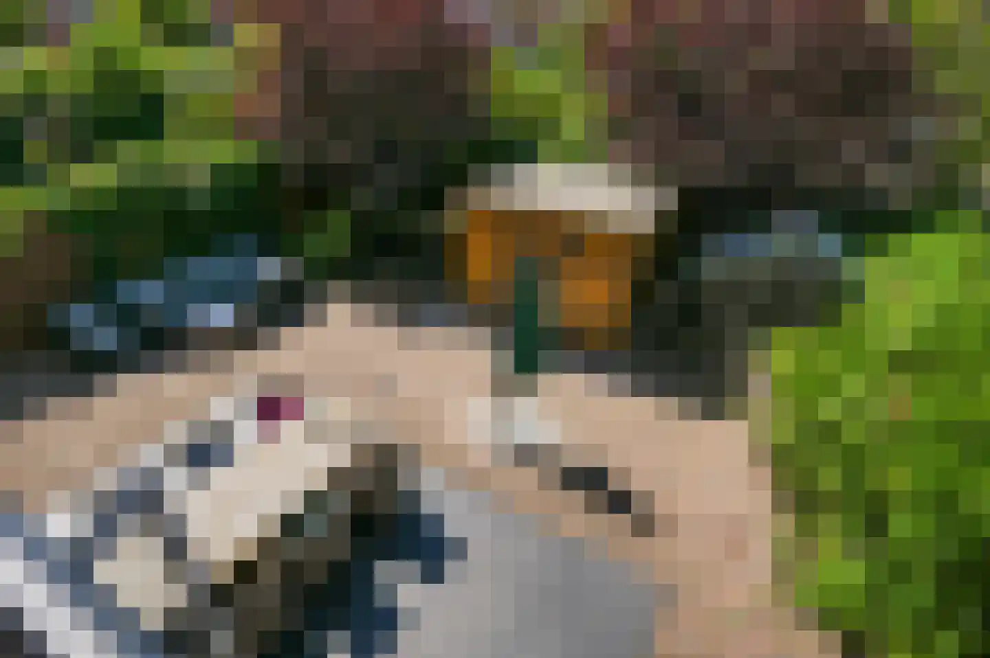 Artemisschelphof 4 Den Haag thumbnail 17