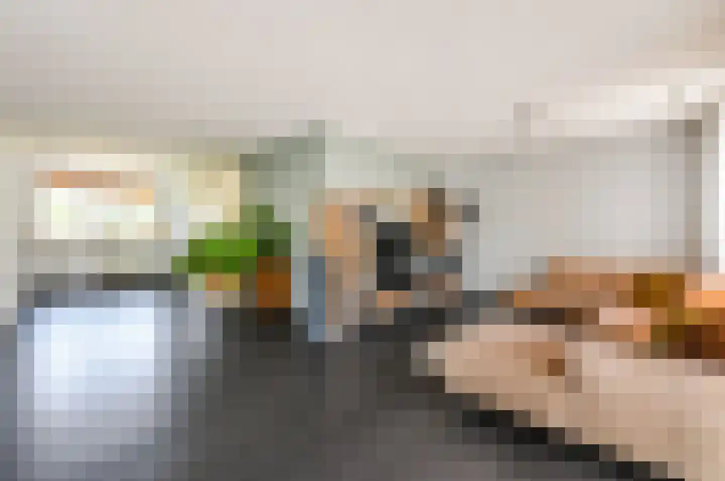 Artemisschelphof 4 Den Haag thumbnail 6