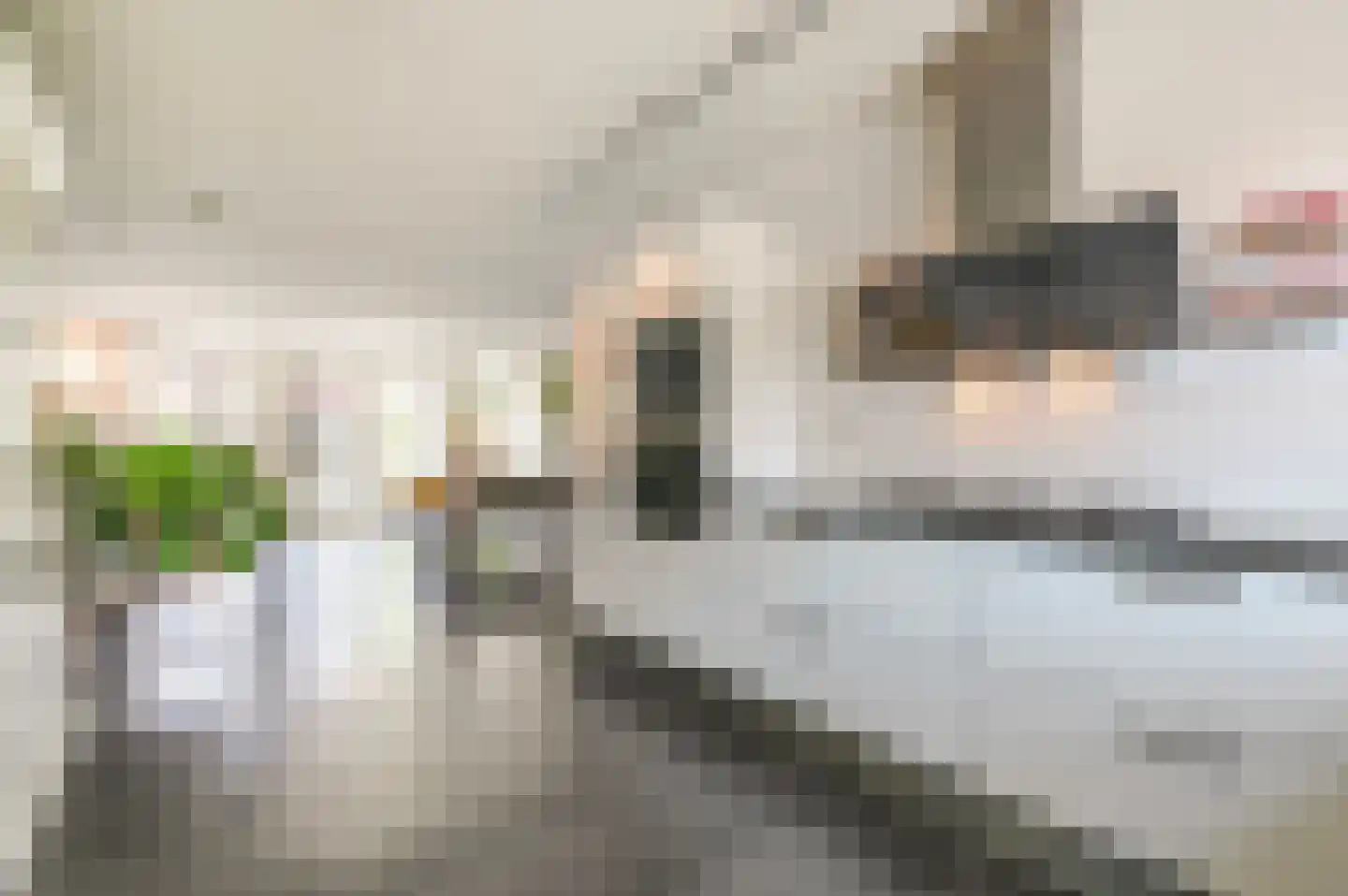 Artemisschelphof 4 Den Haag thumbnail 7