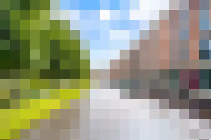 Artemissingel 220 Almere thumbnail 35
