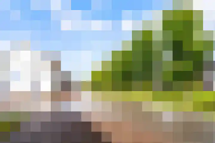 Artemissingel 220 Almere thumbnail 36