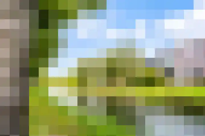 Artemissingel 220 Almere thumbnail 37