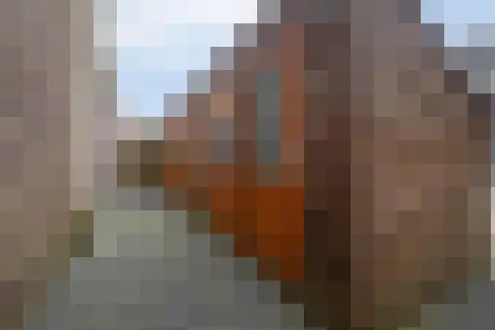 Artemissingel 223 Almere thumbnail 32
