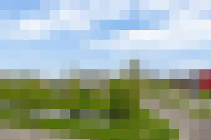 Artemissingel 223 Almere thumbnail 4