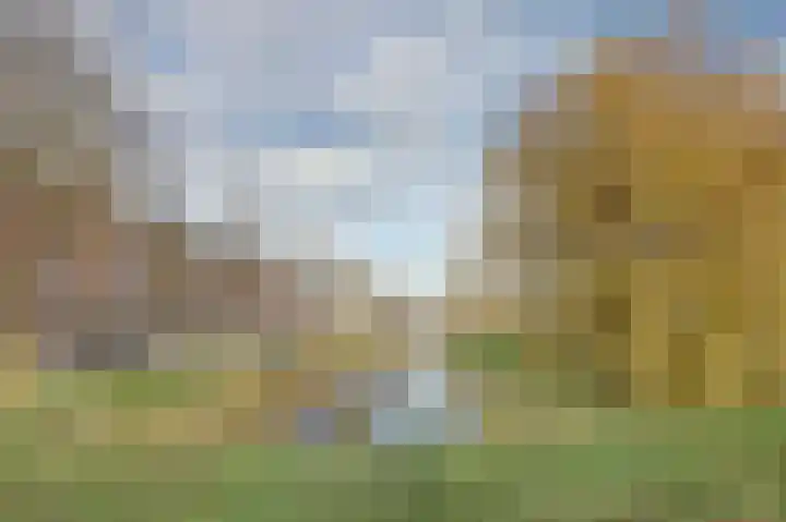 Artemissingel 237 Almere thumbnail 34