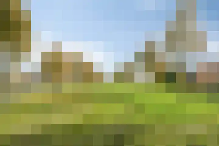 Artemissingel 239 Almere thumbnail 30