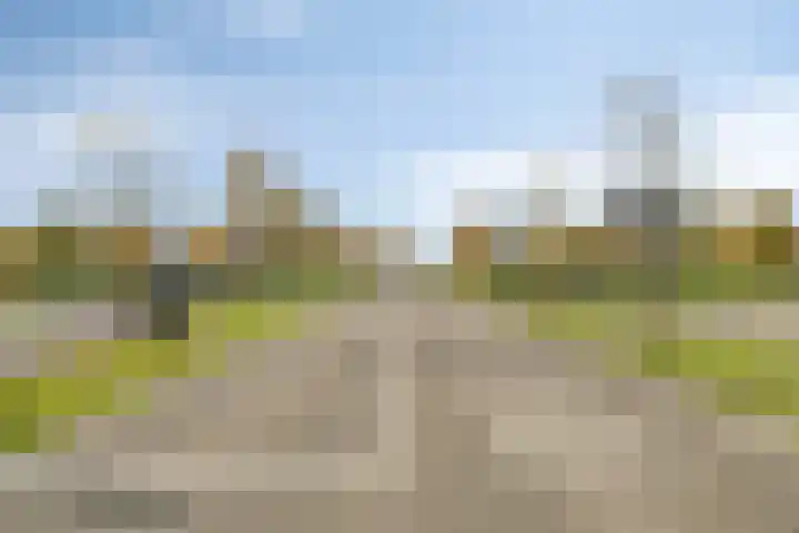 Artemissingel 239 Almere thumbnail 32