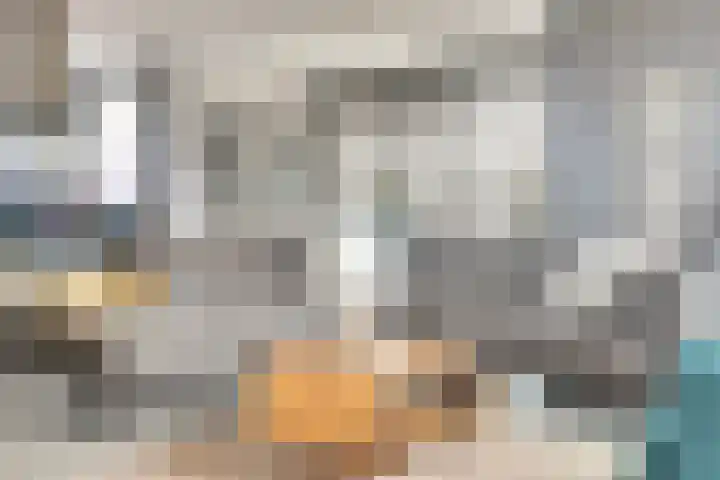 Artemisstraat 14 Hengelo thumbnail 12