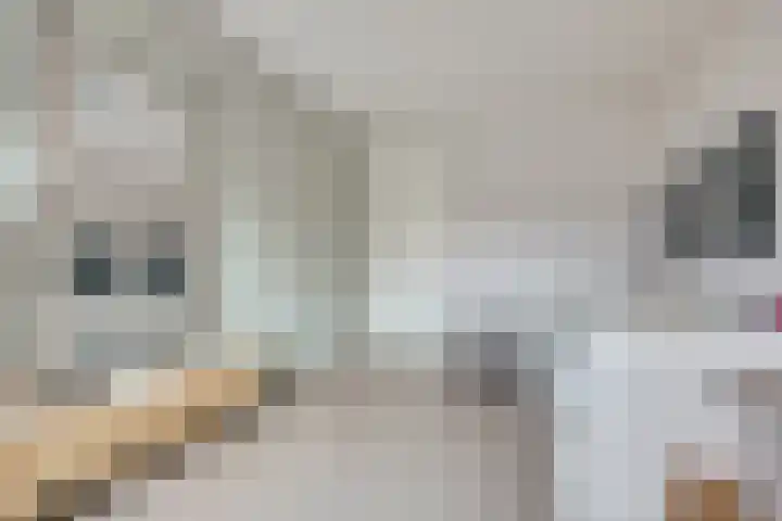 Artemisstraat 14 Hengelo thumbnail 26