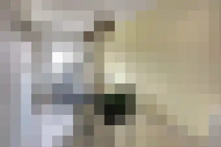 Artemisstraat 14 Hengelo thumbnail 29