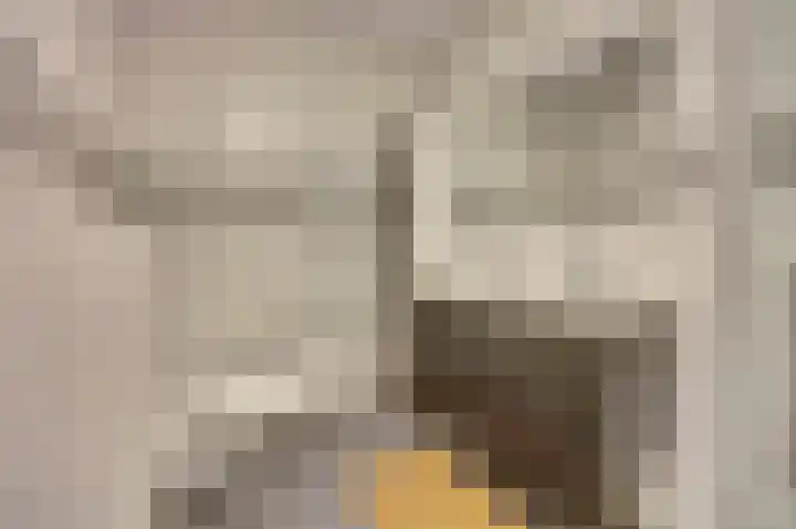 Artemisstraat 14 Hengelo thumbnail 32