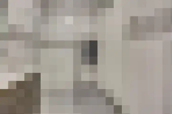 Artemisstraat 14 Hengelo thumbnail 33