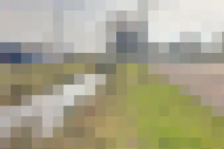 Artemisstraat 14 Hengelo thumbnail 51
