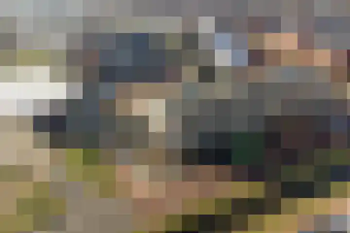 Artemisstraat 14 Hengelo thumbnail 53