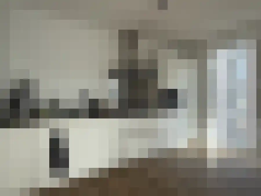Artemisstraat Leiden thumbnail 4