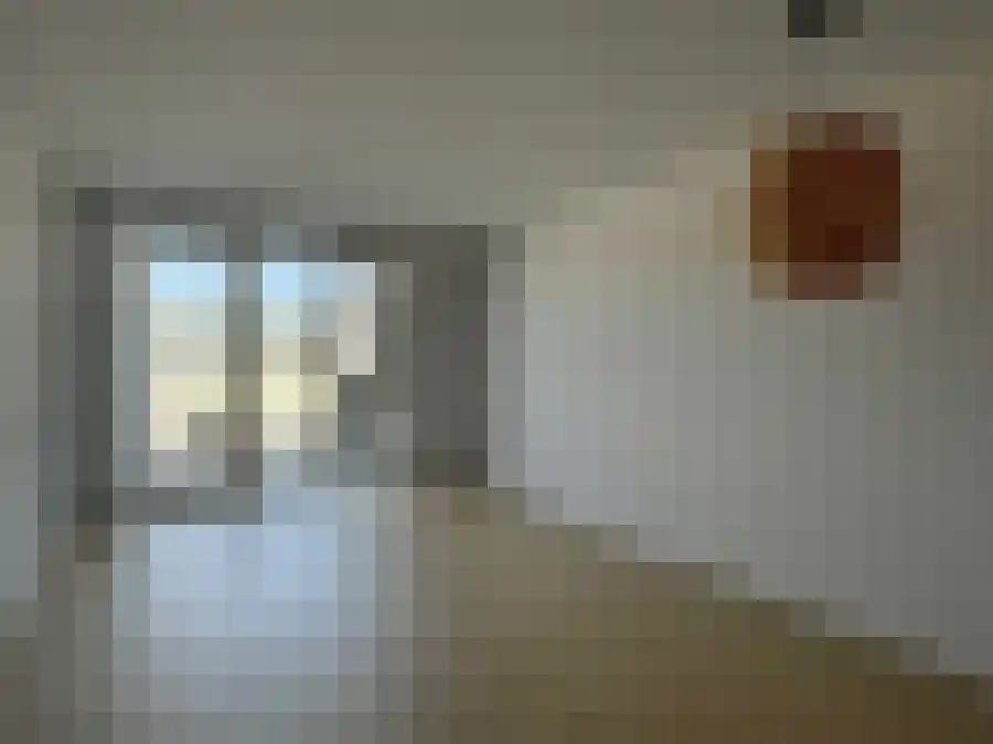 Artemisstraat Leiden thumbnail 5